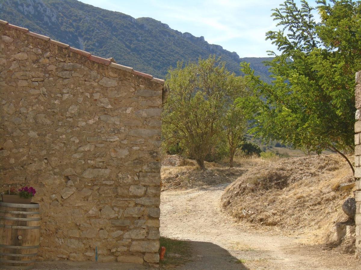 Chambre d'hôtes les trois chemins Cucugnan Exterior foto
